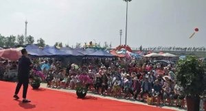 潮湿的夏天桃子移植版v6.05平台介绍