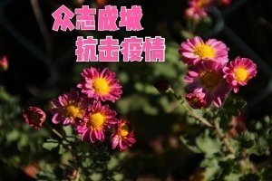 tsfnwhg@163.com 对照