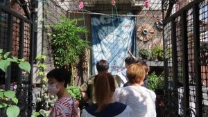 tsfnwhg@163.com 对照