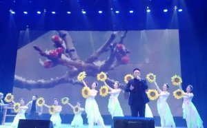 先创网络 电子潮湿的夏天桃子移植版v