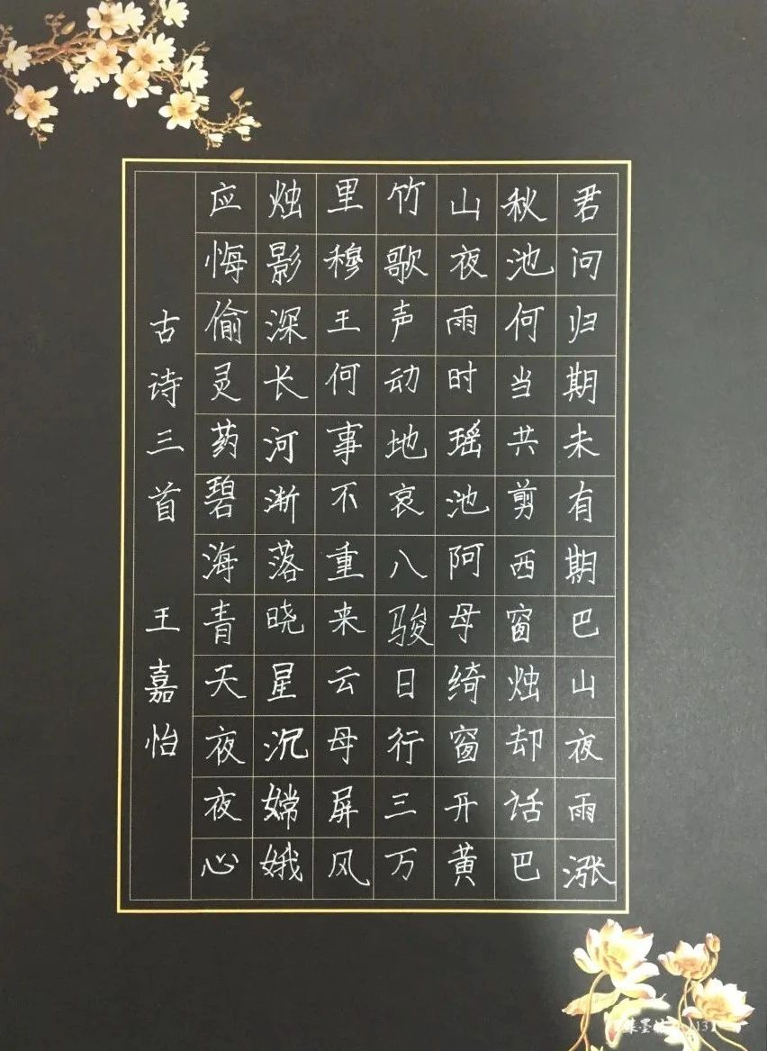 所属分类