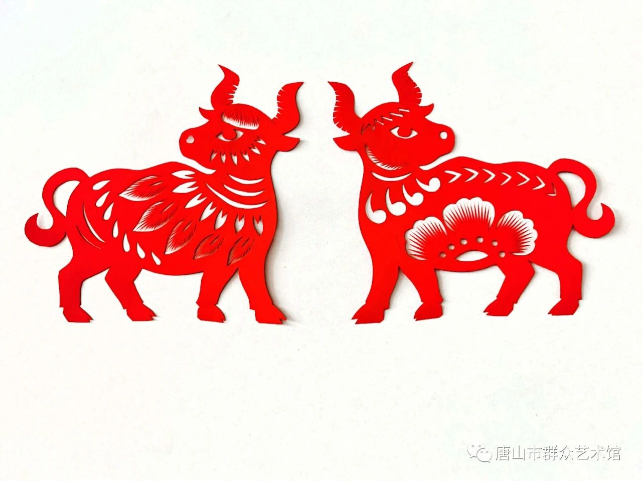 微信图片_20210218143531.jpg 0315-8122259